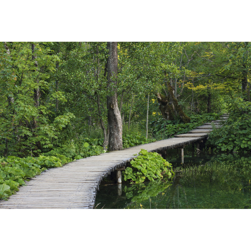 Plitvice Lakes And Waterfalls - Wrapped Canvas Print, 30cm H x 46cm W