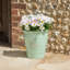Dinardo Pot Planter-1955219779-1955219778