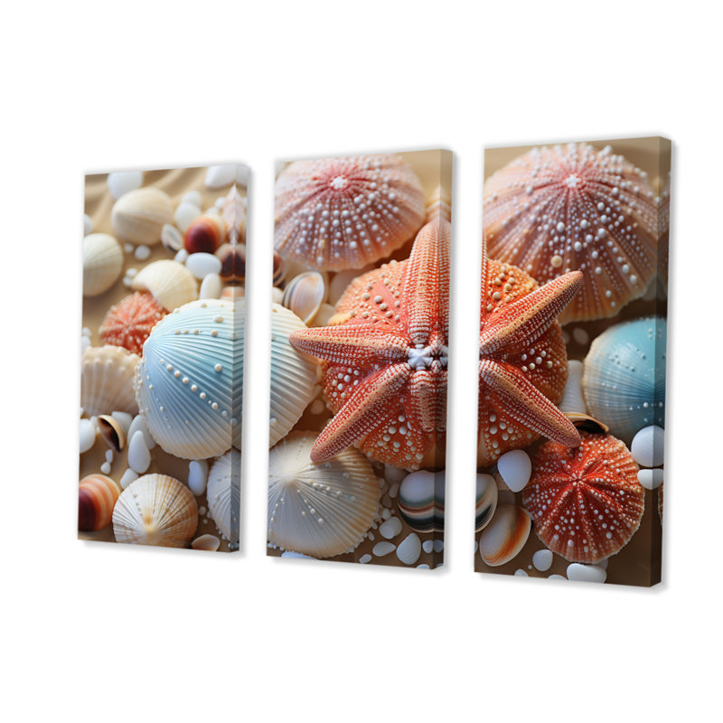 «Beach Photo Seashell Collage VII», reproduction sur toile 3 pièces, H 28 po x l 36 po x P 1 po