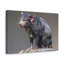 «Tasmanian Devil H chasse», art mural-1896426169