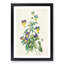 Wild Pansy Flowers by Pierre-Joseph Redoute - Framed Print-55612375-55612376