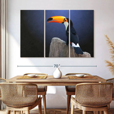 Toucan With Grape