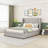 Bucher Upholstered Velvet Wingback Bed with Drawers