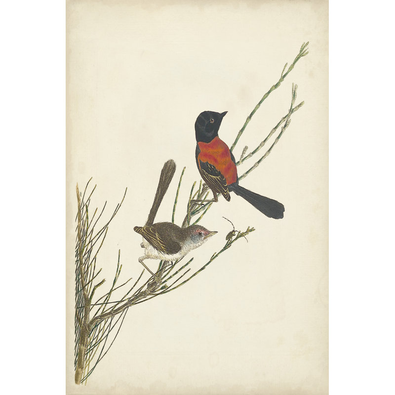 Graceful Birds III - Painting, 91 cm H x 61 cm W, Black Floater Framed
