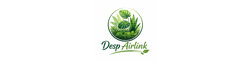 Logo Desp Airlink