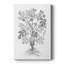B&W Plant Spechantillon II - galerie sur mesure Cavas-1528055662