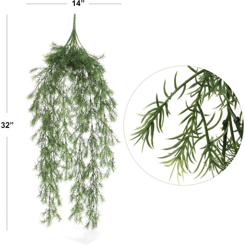 Ensemble de 12 plantes 12 pièces