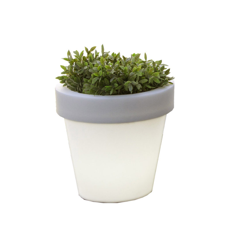 Darwin Pot Planter, 55cm H x 60cm W x 60cm D