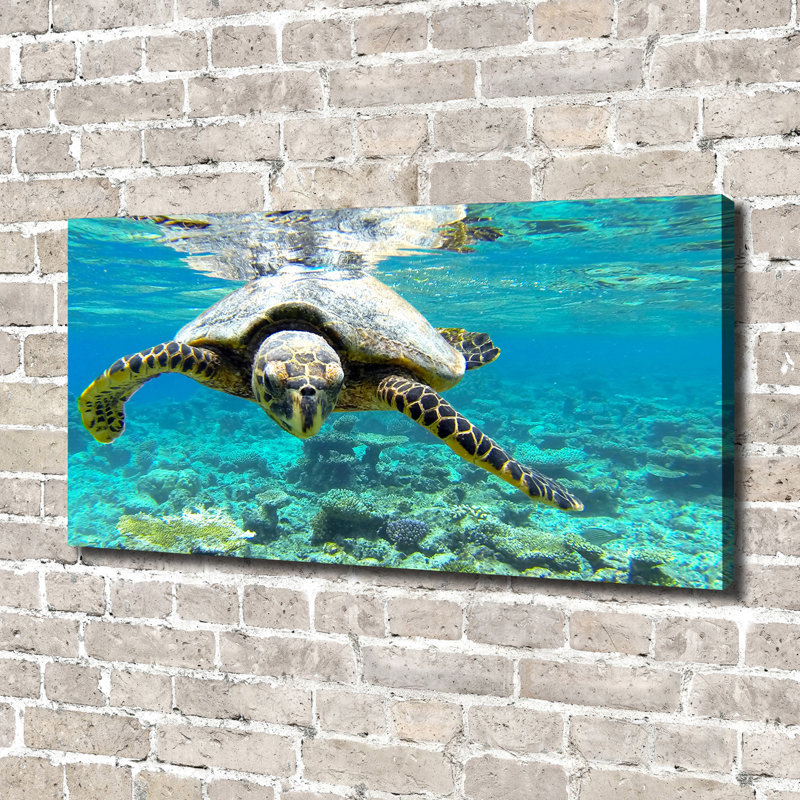 Sea Turtle - Wrapped Canvas Print