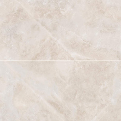 Nimbus 24" x 48" Polished Porcelain Wall & Floor Tile