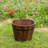 Eugenia Handmade Wood Barrel Planter-884268552