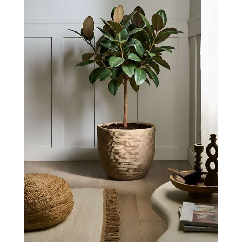 Pot Planter, Beige