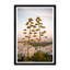 Agave Trees On Hills Of Athens II Print by Tim Klein