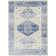 Oriental Indoor Rug