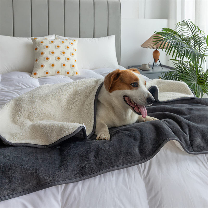 Rosiane Flannel Pet Blanket, Grey