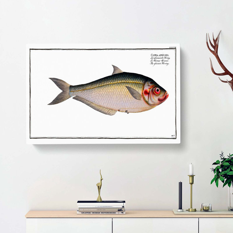 African Herring Fish - Wrapped Canvas, 40cm H x 60cm W x 3cm D