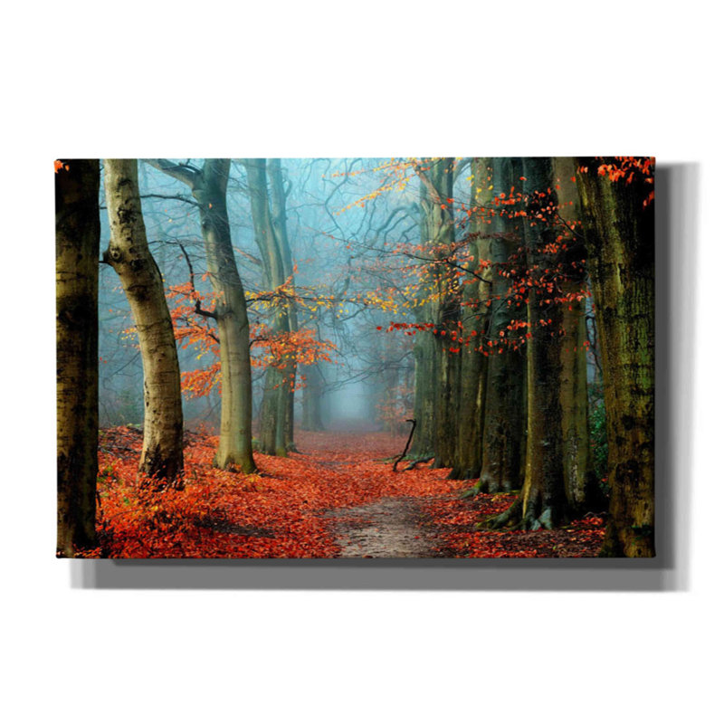 «Bussum In Fall» par Lars Van De Goor, reproduction de photo sur toile tendue, H 12 po x l 18 po x P 0,75 po