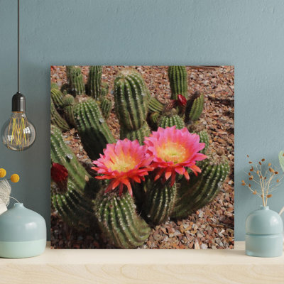 «Pink Flower Cactus» - Impression sur toile tendue carrée 1 pièce