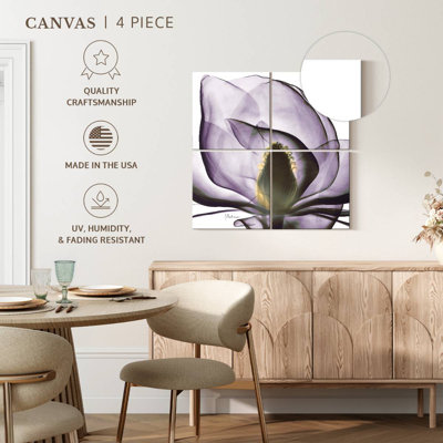 Harnek Magnolia X-ray