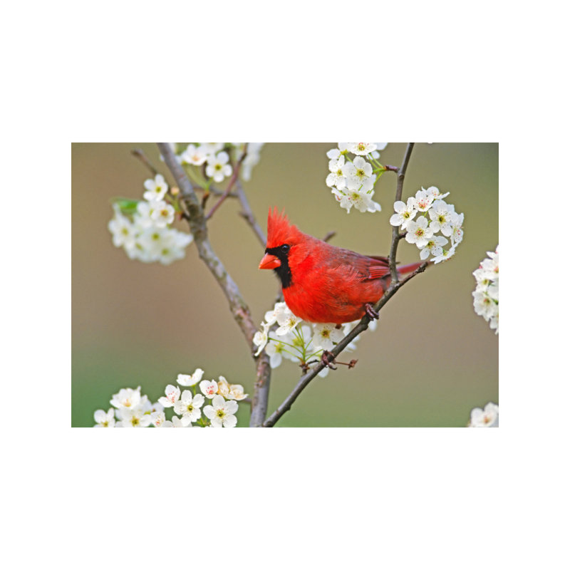 1 Piece Wall Art on Canvas, 101.6 cm H x 66.04 cm W x 1.91 cm D, Wrapped Canvas
