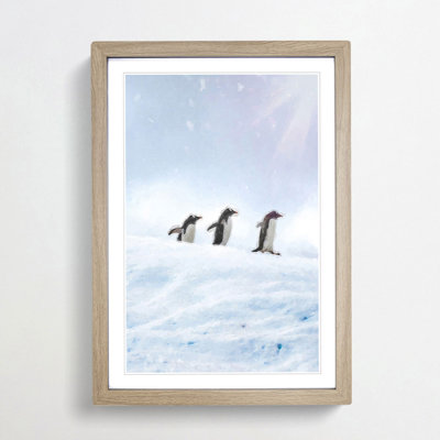 Three Penguins in the Antarctica - Framed Print