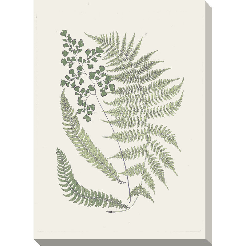 Wrapped Canvas Print