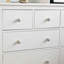 Nicola Spring - Round Ceramic Cabinet Knobs - Black Fern
