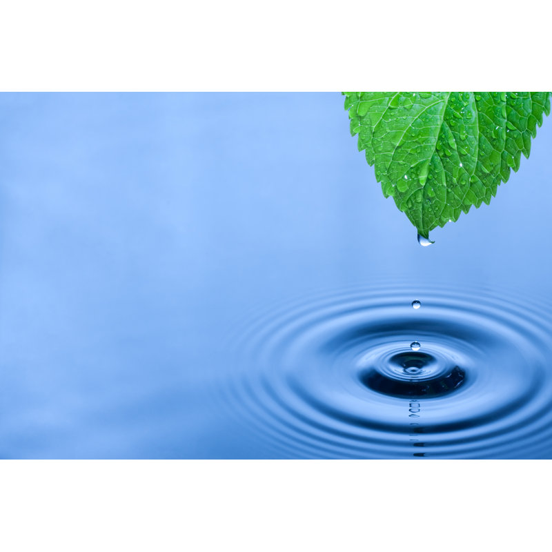 Green Leaf Water Drops - Photographie sur toile tendue, H 12 po x l 18 po