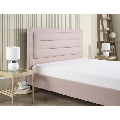 Kovi Upholstered Bed