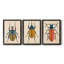 Beetle Bug I - ensemble de 3 peintures sur toile encadrées-1777886051-1777886077