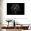 Ziggy Portrait-107672516