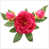 Fuchsia est en rupture de stock