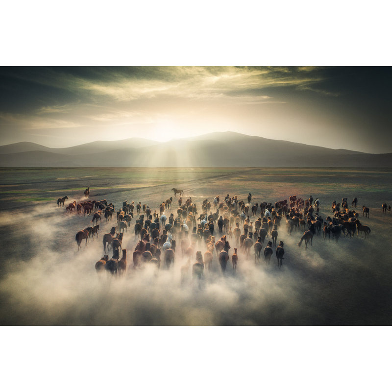 Wrapped Canvas Print, 60.96 cm H x 91.44 cm W