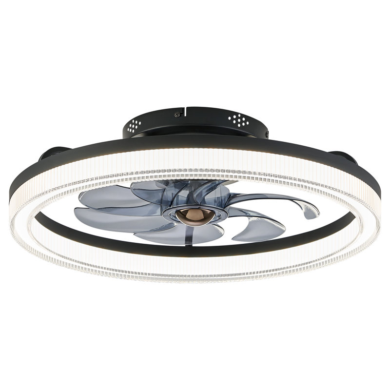Demaury 20'' Flush Mount Dimmable Ceiling Fan with LED Lights, Black