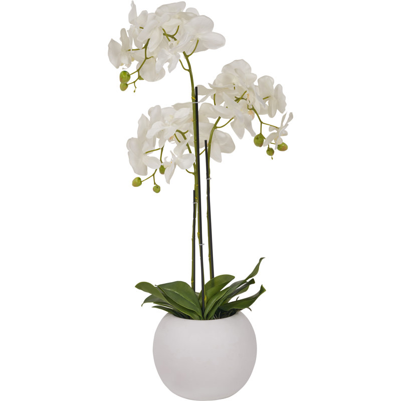 80cm Faux Plant in Cement Pot