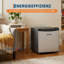 FXSGER Mini Fridge