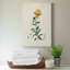 «Traditional Botanical III», impression sur toile tendue-1594425904