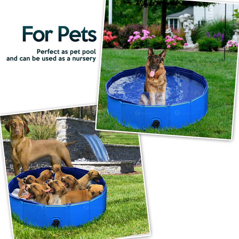 Piscine pour animaux en plastique 1 pi x 1 pi x 3 pi