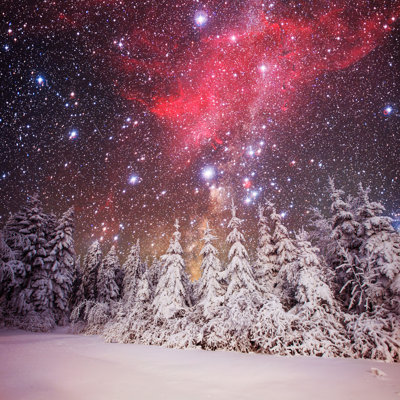 " Winter Woods " by Standret