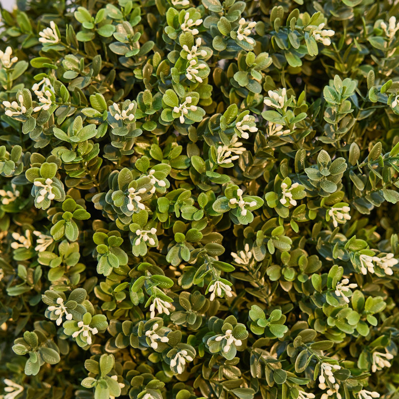 Arbre sphérique artificiel Ashwell Osmanthus , 2, 31,2 po x 20 po