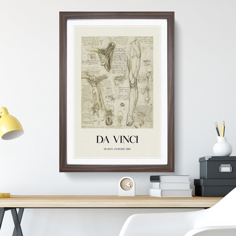 Human Anatomy Vol.7 by Leonardo Da Vinci - Picture Frame Drawing, 65cm H x 48cm W x 2cm D, Walnut Framed