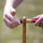 Yard Games Ladder Ball with Carrying Case