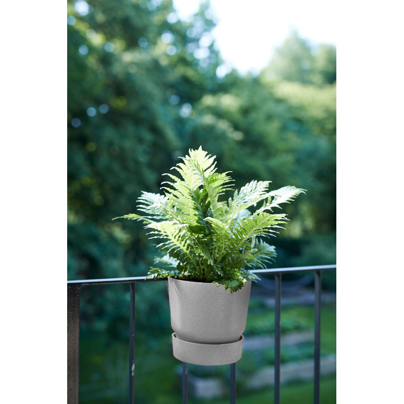 Balcony Planter, Living Concrete