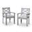 Dining Chairs Set Of 2