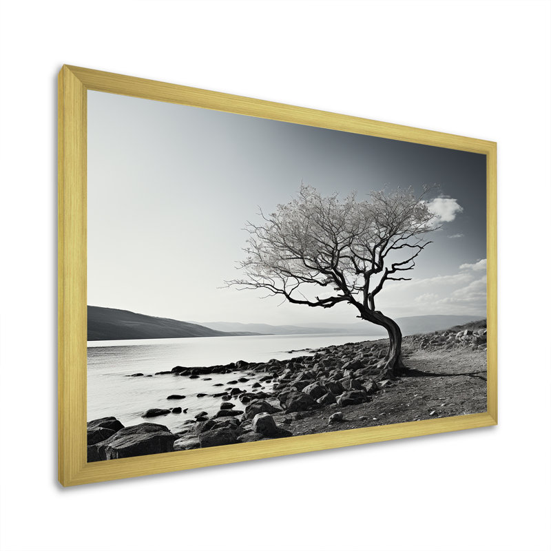 Magnifique arbre en noir et blanc, photographie de lac - art mural lac, H 12 po x l 20 po x P 1 po, Cadre doré