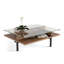 Terrace Coffee Table-1485365891-1485365902