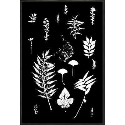 Botanical Collage 2 Print