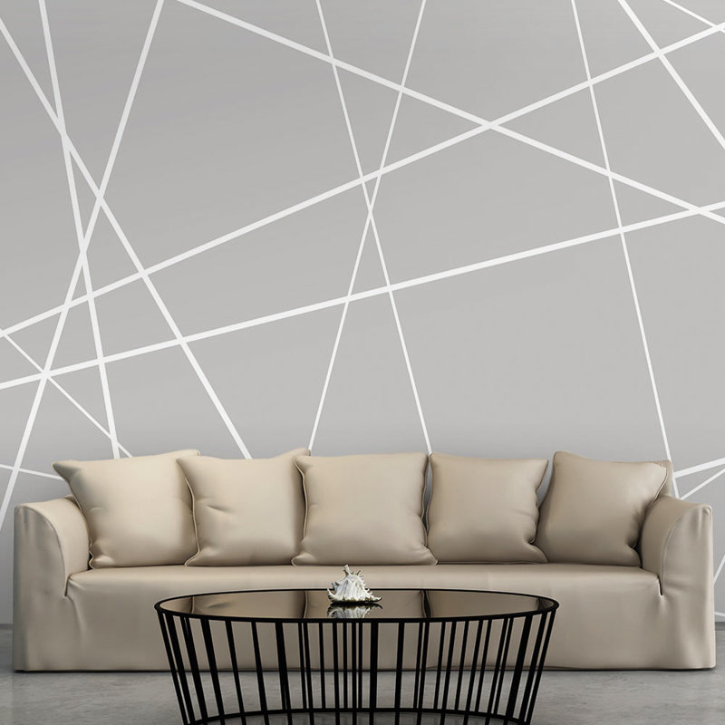 Modern Cobweb 210cm x 300cm Wallpaper