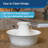 Anti-Skid Pet Fountain-100098366