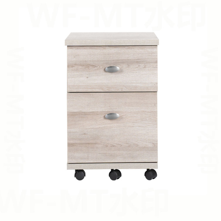 Jered 2-Drawer Mobile Vertical Filing Cabinet